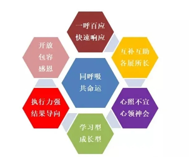 437ccm必赢国际(股份)有限公司-官方网站