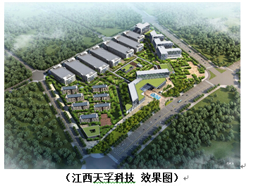 公司要闻