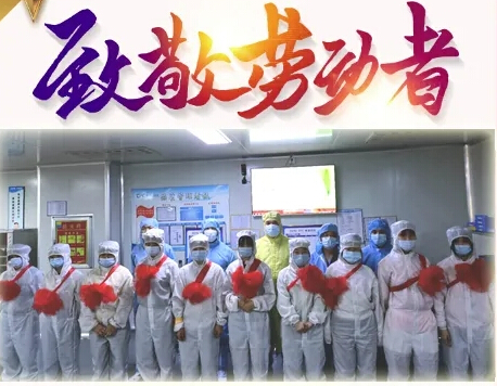 公司要闻