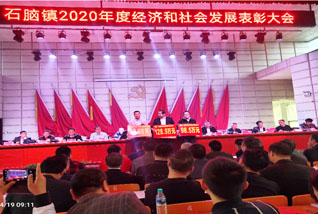 公司要闻