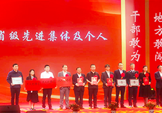 公司要闻