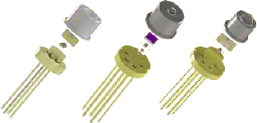 Products and Services