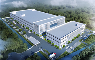 Company News